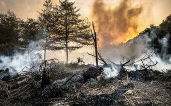 Оценка ущерба после стихийного бедствия в Твери: отчет оценщика